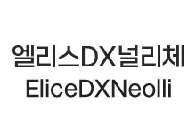 [돋움] 엘리스 디지털 DX널리체